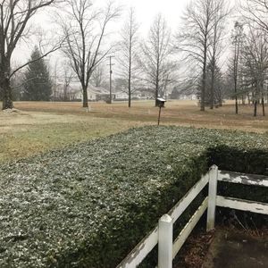 Meet your Posher, Dawn